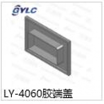 LY-4060膠端蓋